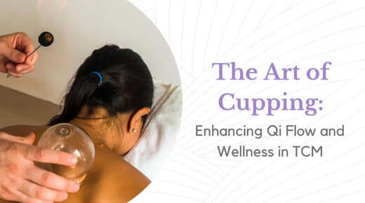 The Art of Cupping: Enhancing Qi Flow and Wellness in TCM